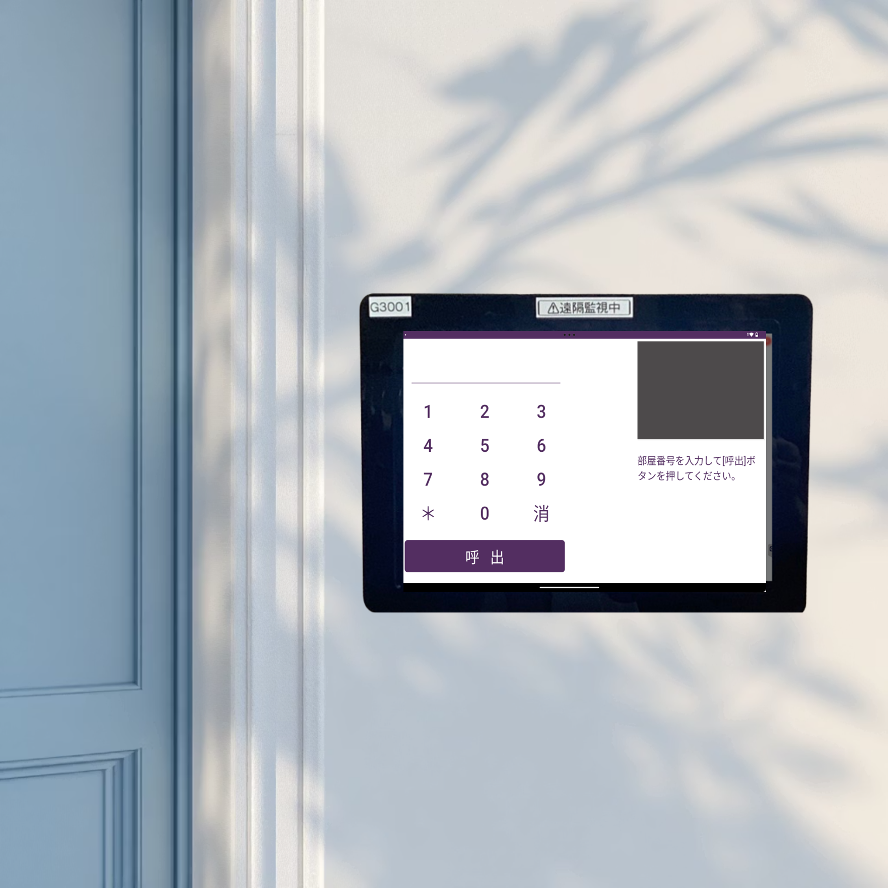 Grape Intercom Device